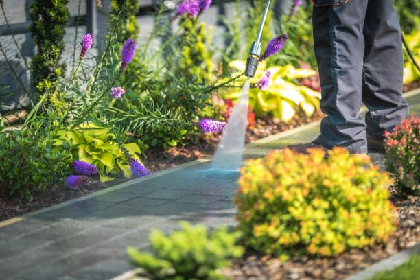 Best Spring Cleaning  in Buffalo, MO